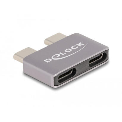 delock-60055-adaptador-usb-40-gbps-usb-type-c-2-x-macho-a-2-x-hembra-protector-de-puerto-de-metal