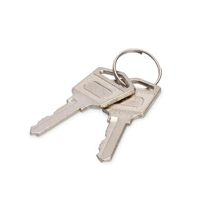 llave-digitus-para-armarios-de-carga-2-piezas-dn-45000-key