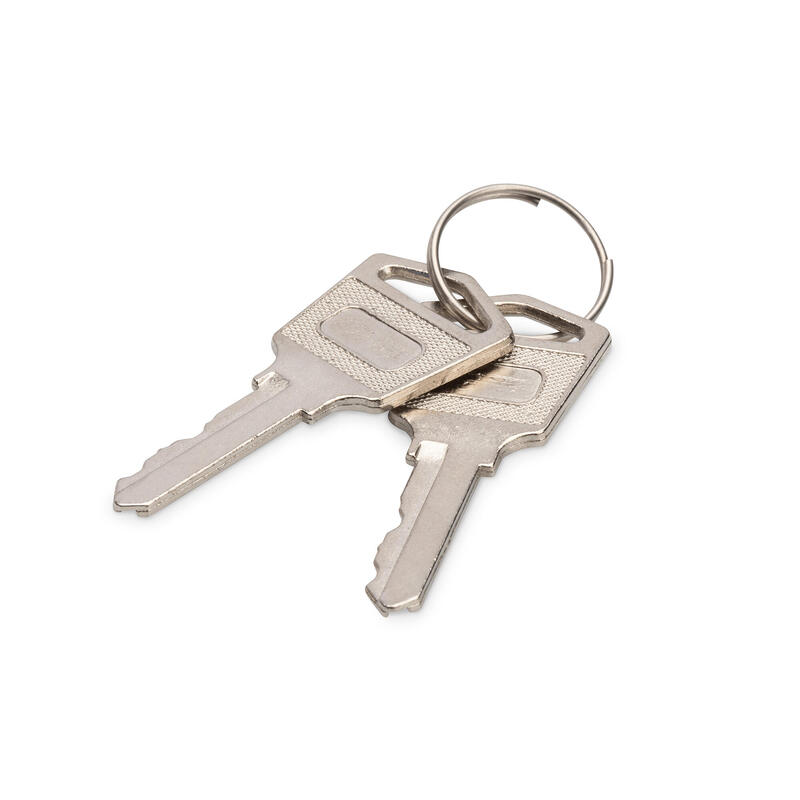 llave-digitus-para-armarios-de-carga-2-piezas-dn-45000-key