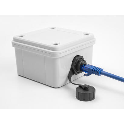 conector-de-cable-delock-de-conector-rj50-a-conector-rj50-para-inmalacion