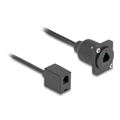 delock-cable-rj10-tipo-d-hembra-a-hembra-negro-30-cm