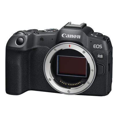 camara-reflex-canon-eos-r8-cuerpo-242mpx-negro