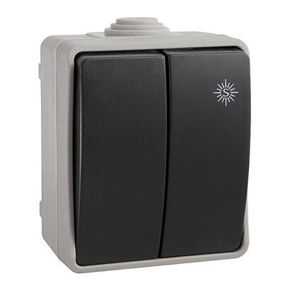 pack-de-2-unidades-doble-conmutador-estanco-10-ax-250v-ip54