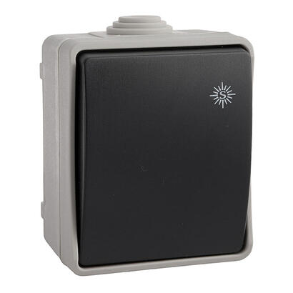 pack-de-2-unidades-conmutador-estanco-economico-envasado-edm-ip44-16a-250v
