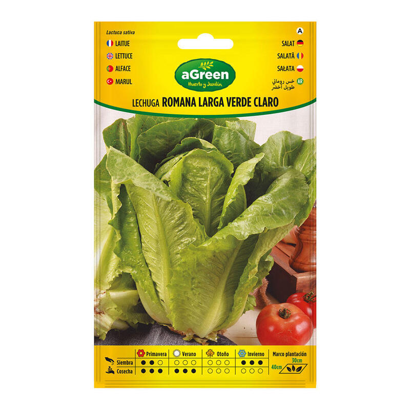 pack-de-5-unidades-sobre-con-semillas-de-lechuga-romana-larga-verde-000440bolsh-agreen