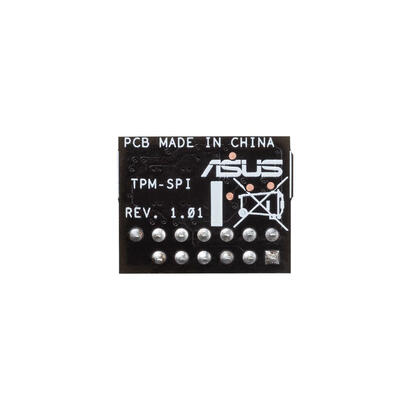 tpm-spi-20