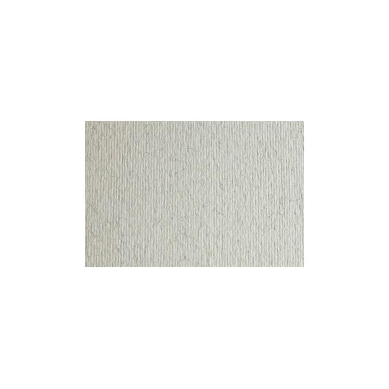 pack-de-20-unidades-sadipal-cartulina-lr-220-texturizada-50x70cm-brina-escarcha