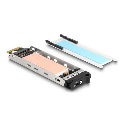 delock-47028-tarjeta-pci-express-de-marco-extraible-delock-para-1-x-m2-nmve-ssd-tarjeta-de-interfaz-47028