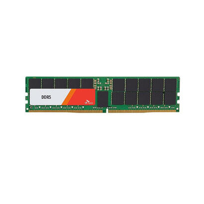 memoria-hynix-48-gb-reg-ecc-ddr5-4800-hmcgy8mebrb