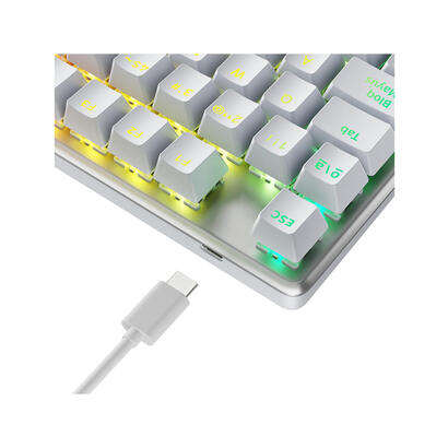 teclado-espanol-newskill-gaming-ns-kb-serikev2-tkl-ivo-usb-qwerty-blanco