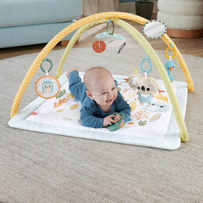 gimnasio-para-recien-nacidos-simply-senses-de-fisher-price-sensimals-24-arcomanta-de-juego