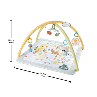 gimnasio-para-recien-nacidos-simply-senses-de-fisher-price-sensimals-24-arcomanta-de-juego