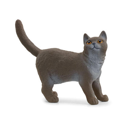 schleich-farm-world-gato-britanico-de-pelo-corto-13973