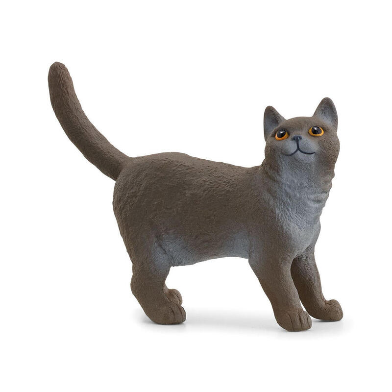 schleich-farm-world-gato-britanico-de-pelo-corto-13973