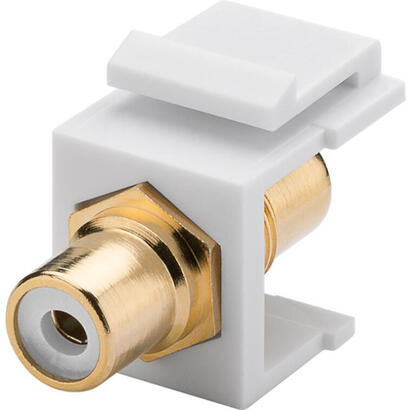 modulo-keystone-rca-hembra-rca-hembra-blanco