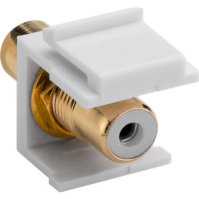 modulo-keystone-rca-hembra-rca-hembra-blanco