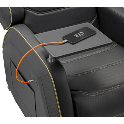 cougar-sofa-pro-royal-con-usb-c-carga