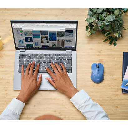 raton-inalambrico-trust-mydo-silent-wireless-hasta-1800-dpi-azul