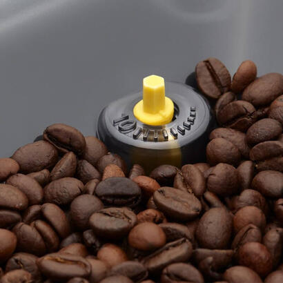 cafetera-gaggia-ri960401-electrica-totalmente-automatica-maquina-espresso-15-l
