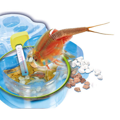 clementoni-original-triops-juego-de-recambios-caja-de-experimentos-69935