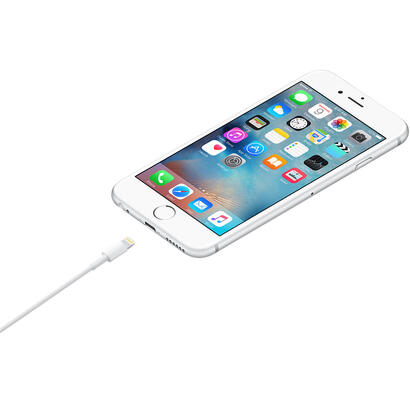 apple-cable-apple-lightning-a-usb-v2-1m