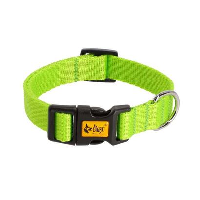 dingo-energy-green-collar-de-perro-20-28-cm