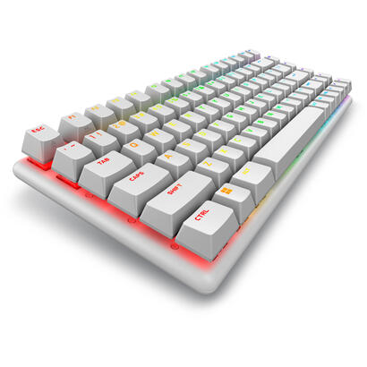 teclado-ingles-alienware-pro-wireless-gaming-usb-rf-wireless-bluetooth-blanco