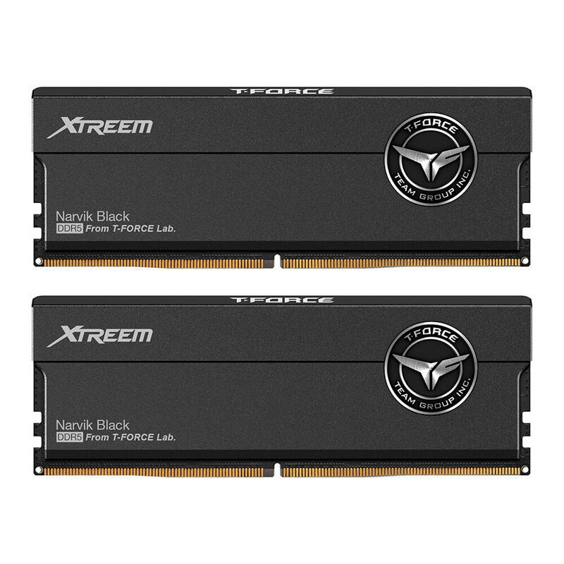 memoria-team-group-32gb-ddr5-8000-2x-16-gb-dual-kit-ffxd532g8000hc38ddc01