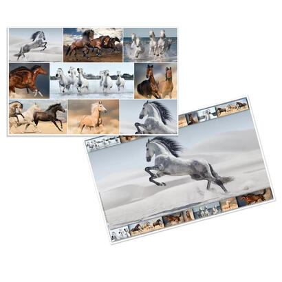 herma-protector-escritorio-caballos-55x35-3-piezas