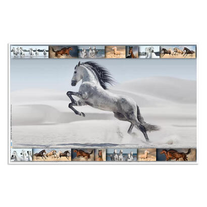 herma-protector-escritorio-caballos-55x35-3-piezas
