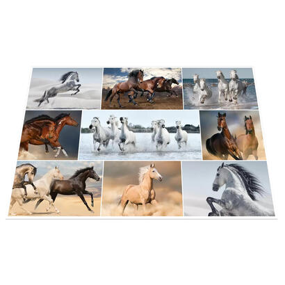 herma-protector-escritorio-caballos-55x35-3-piezas