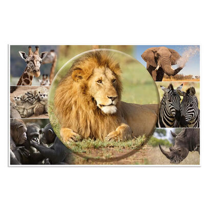 herma-protector-de-escritorio-animales-de-africa-55x35-3-piezas
