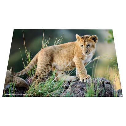 herma-protector-de-escritorio-animales-de-africa-55x35-3-piezas