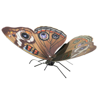 maqueta-3d-metal-fascinations-mariposa-buckeye-montaje-sin-pegamento-ni-soldadura