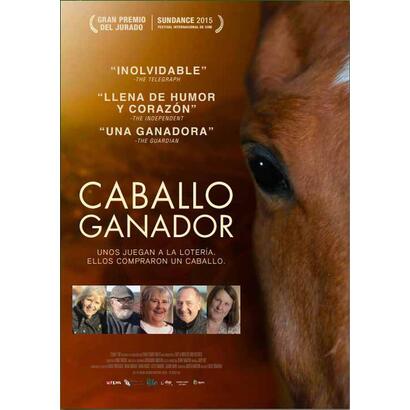 caballo-ganador-dark-horse