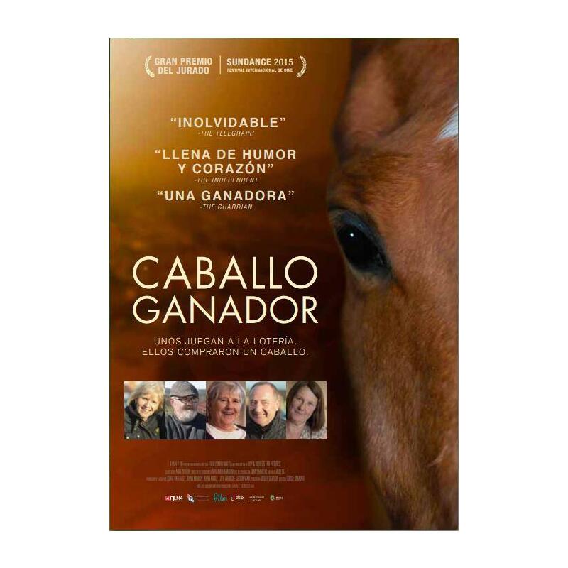 caballo-ganador-dark-horse