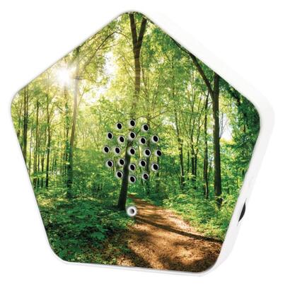 olympia-sounds-of-nature