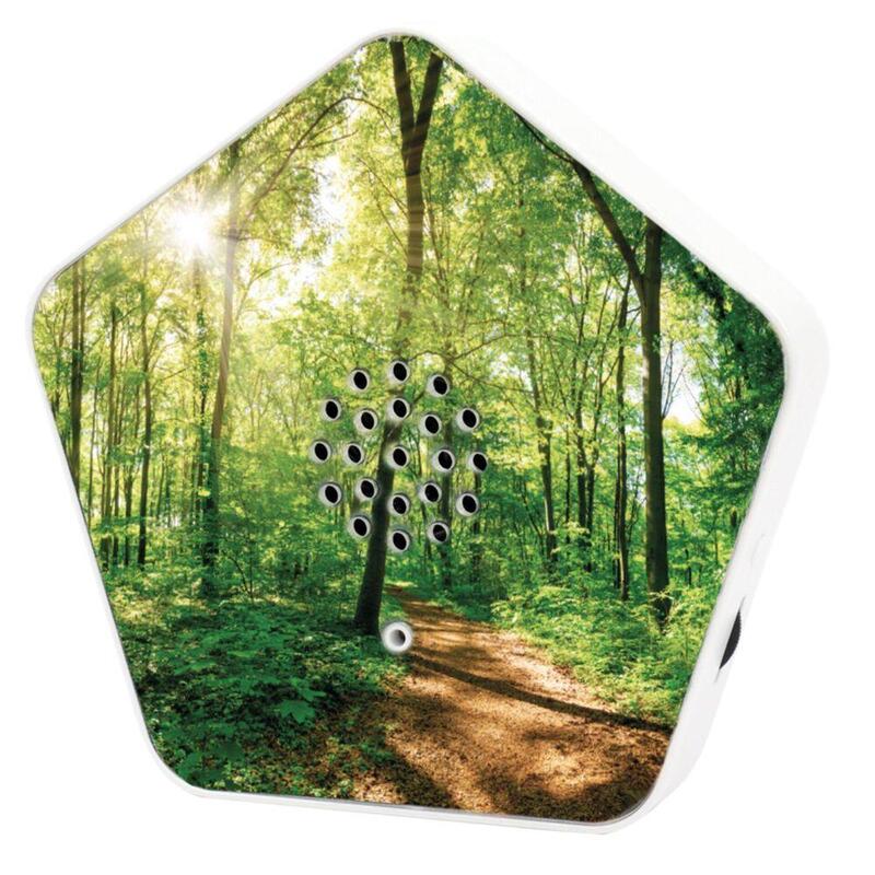 olympia-sounds-of-nature