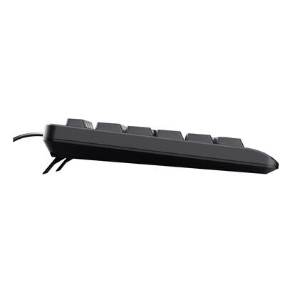 teclado-ingles-trust-basics-usb-qwerty-de-eeuu-negro