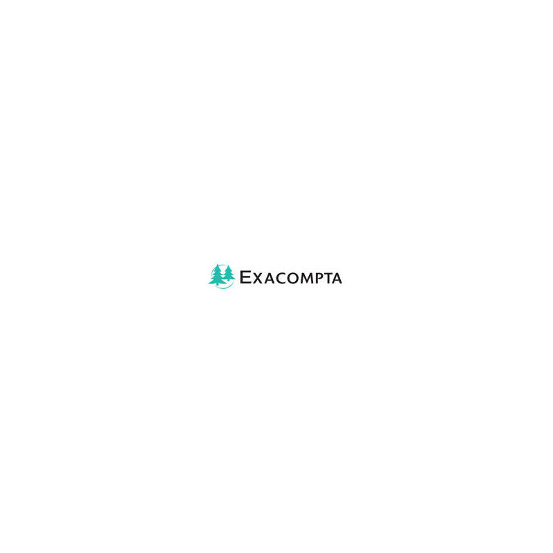 exacompta-51826e-carpeta-de-carton-a4-blanco