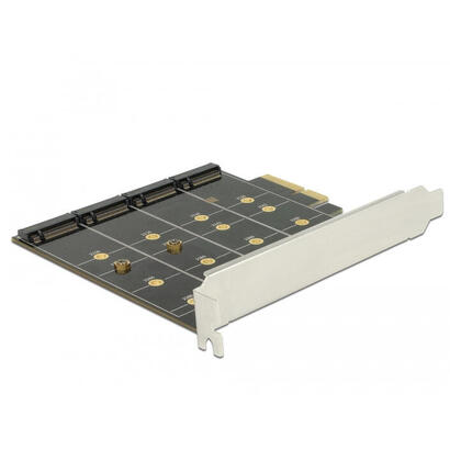 tarjeta-pcie-delock-4x-interno-m2-b-con-raid-raid-tarjeta-89888
