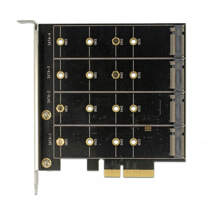 tarjeta-pcie-delock-4x-interno-m2-b-con-raid-raid-tarjeta-89888