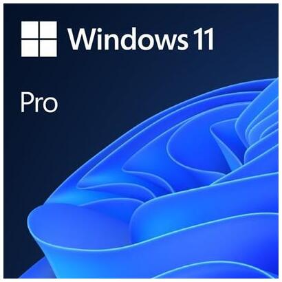 windows-11-pro-64-bit-1pk-dvd-dvd-portuguese