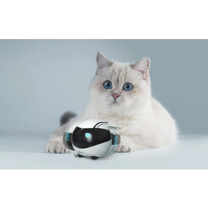 enabot-ebo-air-family-robot-ip-camera-white