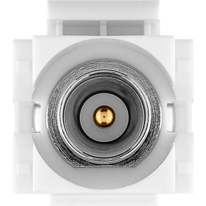 goobay-79938-modulo-de-conector-de-red