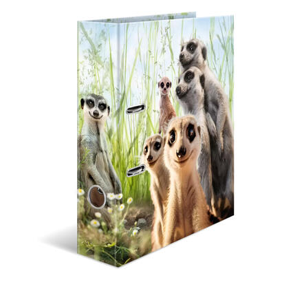 herma-20048-carpeta-de-carton-a4-multicolor