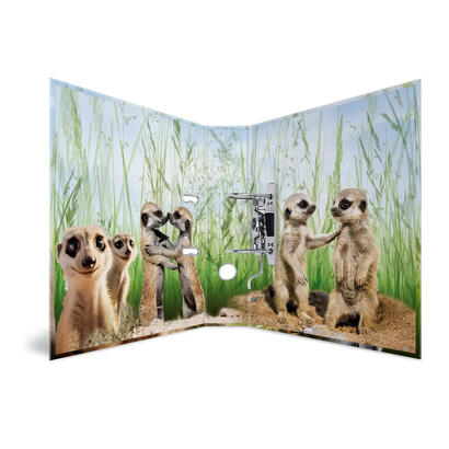 herma-20048-carpeta-de-carton-a4-multicolor