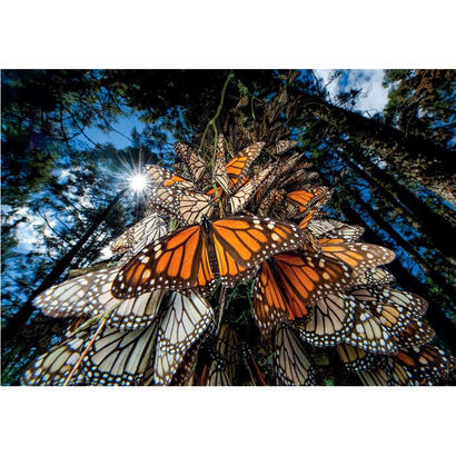 puzzle-monarch-butter-national-geographic-1000pzs