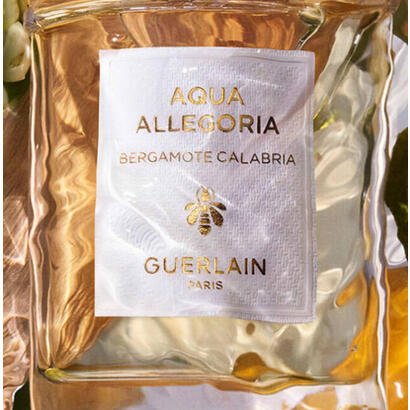 aqua-allegoria-bergamote-calabria-eau-de-toilette-vaporizador-125-ml