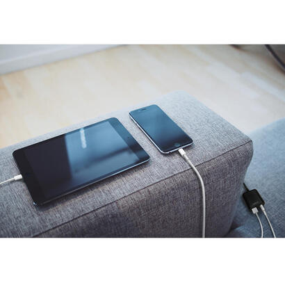 logilink-pa0256-adaptador-de-corriente-usb-con-cable-fijo-de-15-m-1-usb-a-y-1-usb-c-12-w-5-v24-a-color-negro